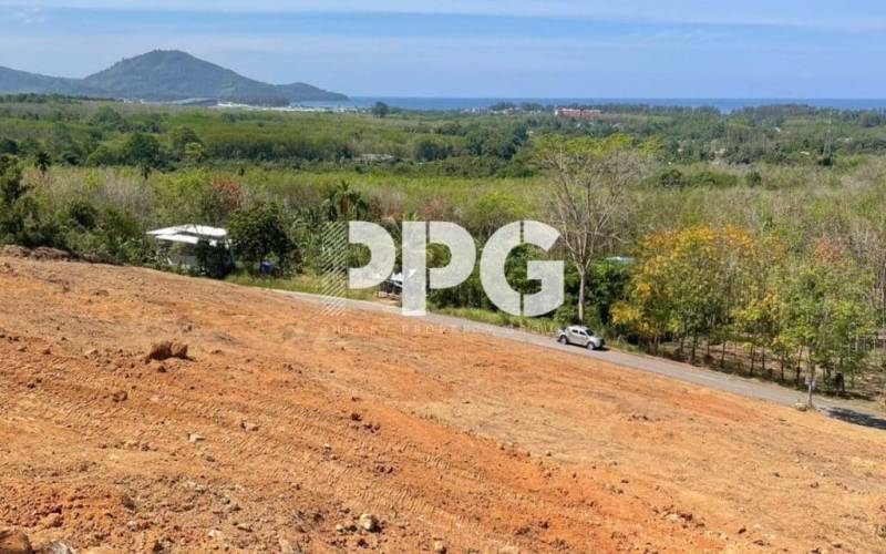 Phuket, ,Land,For Sale,2201