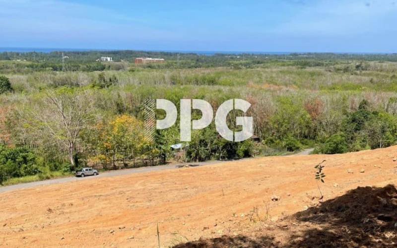 Phuket, ,Land,For Sale,2201