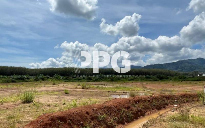 Phuket, ,Land,For Sale,2212