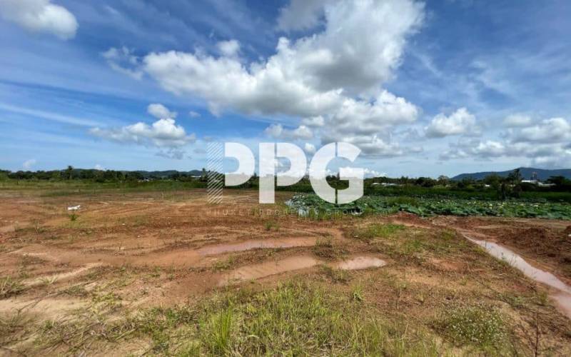 Phuket, ,Land,For Sale,2212