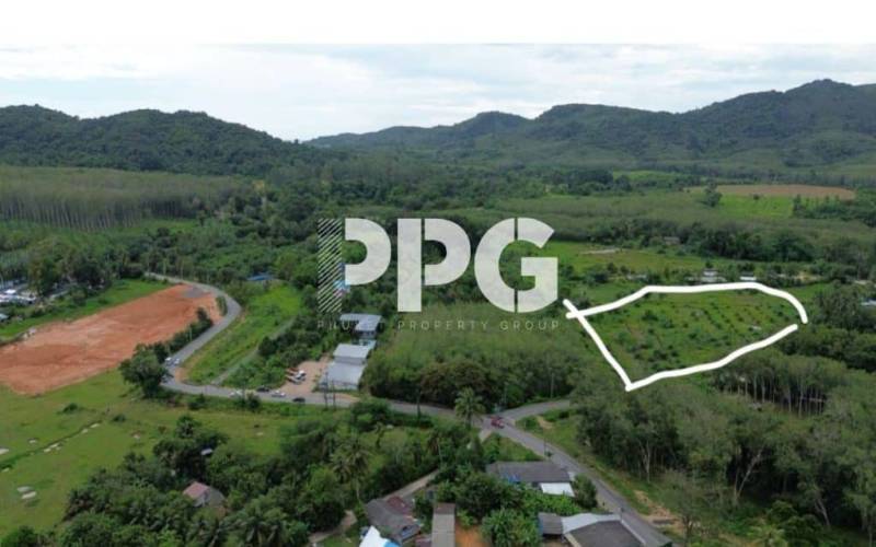 Phuket, ,Land,For Sale,2214