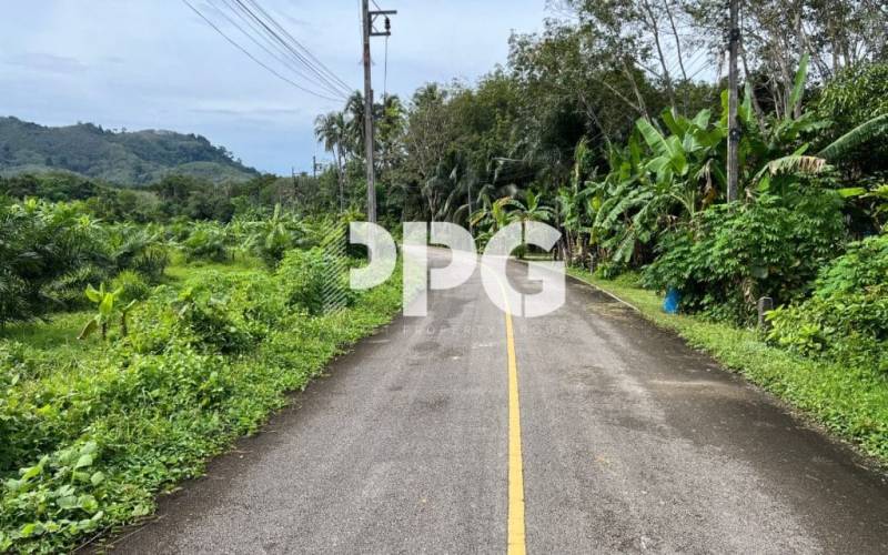 Phuket, ,Land,For Sale,2214