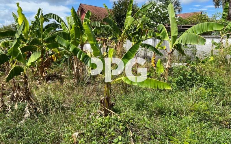 Phuket, ,Land,For Sale,2222