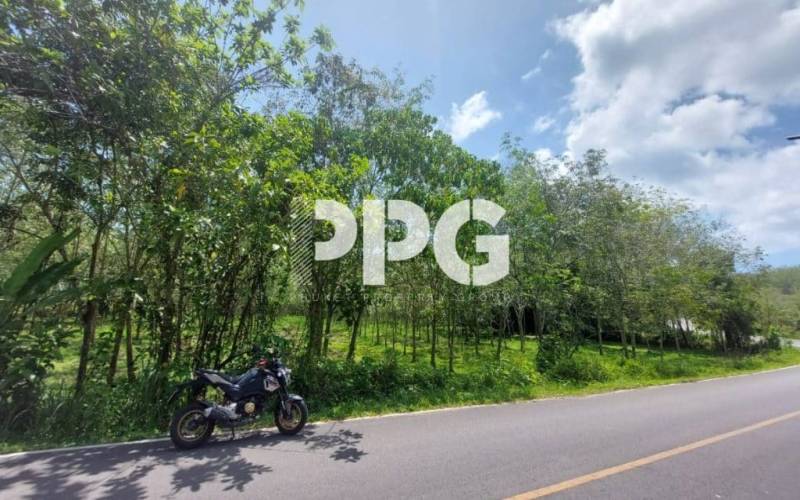 Phuket, ,Land,For Sale,2236