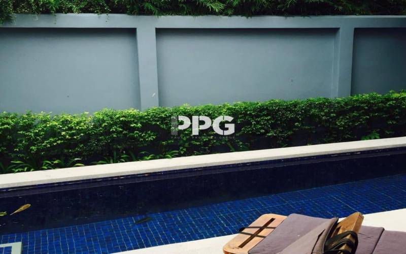 Phuket, 1 Bedroom Bedrooms, ,1 BathroomBathrooms,House,For Sale,2388