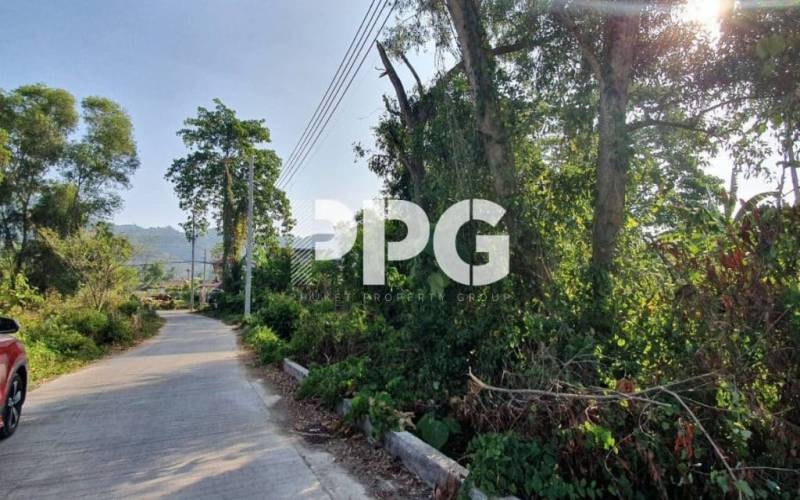 Phuket, ,Land,For Sale,2391