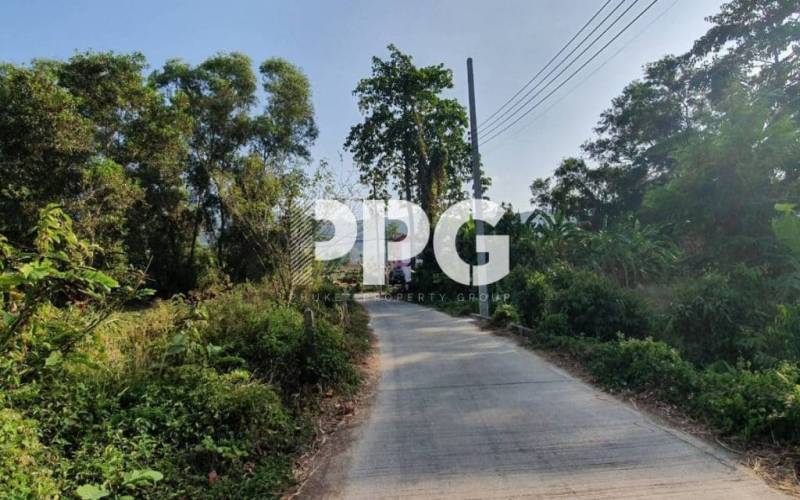 Phuket, ,Land,For Sale,2391