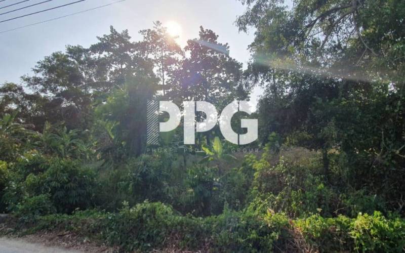 Phuket, ,Land,For Sale,2391