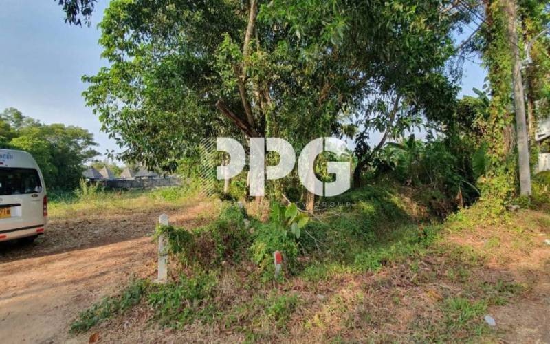 Phuket, ,Land,For Sale,2391