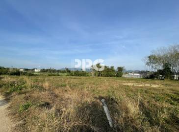 Phuket, ,Land,For Sale,2530