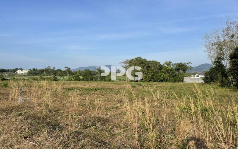 Phuket, ,Land,For Sale,2530