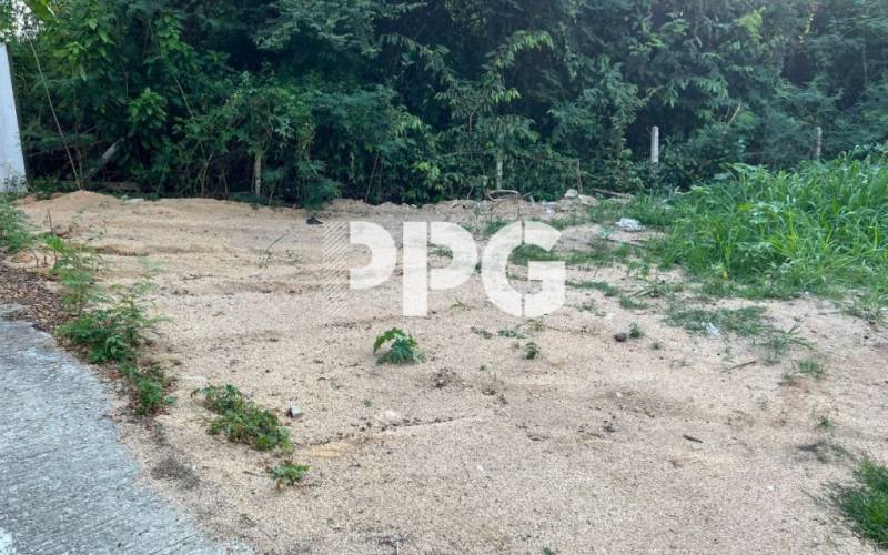 Phuket, ,Land,For Sale,2617