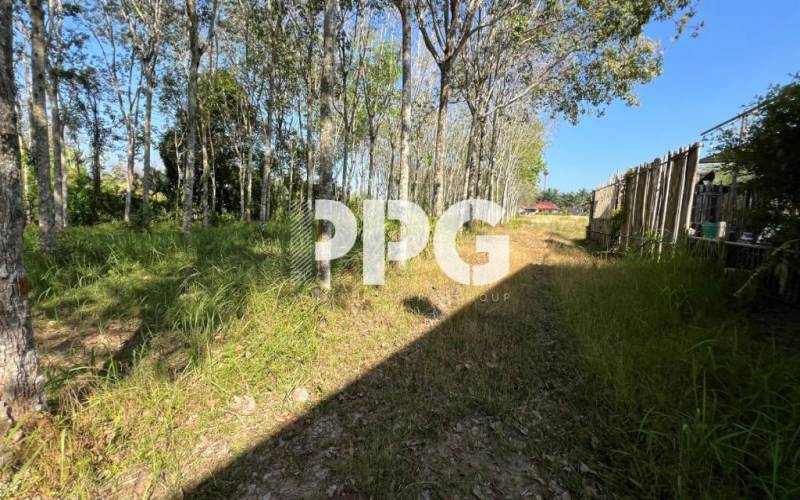 Phuket, ,Land,For Sale,2640