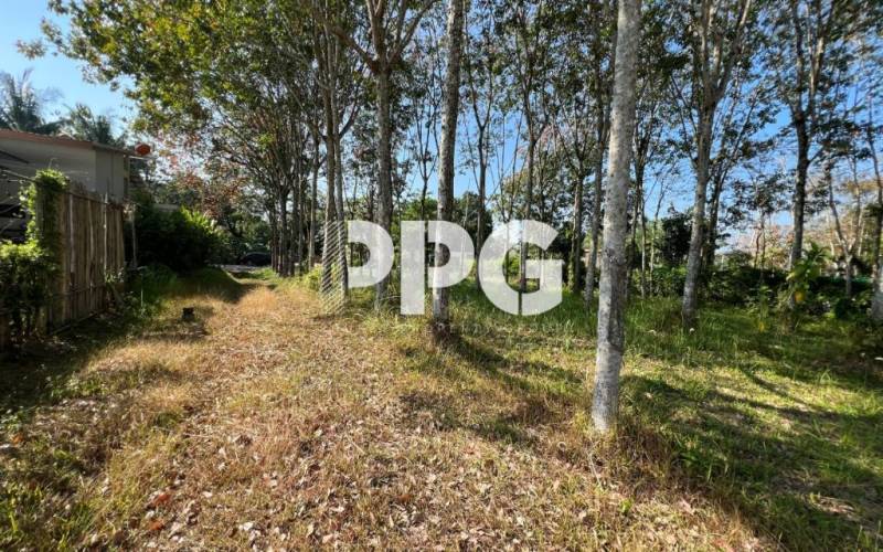 Phuket, ,Land,For Sale,2640