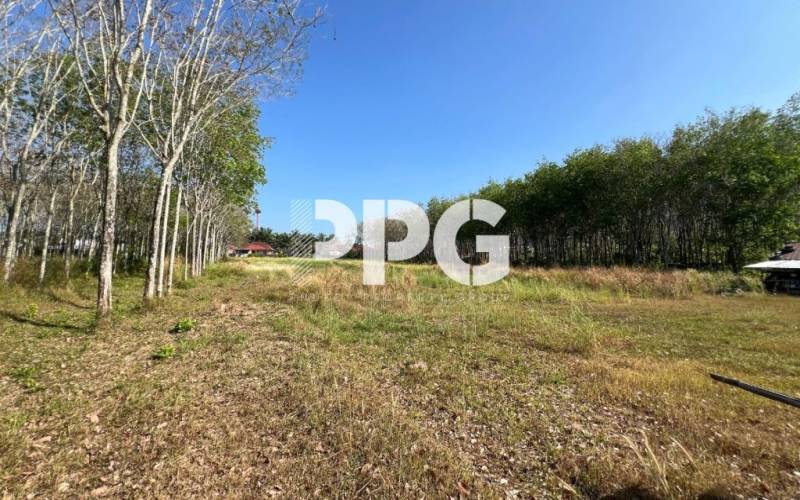 Phuket, ,Land,For Sale,2640