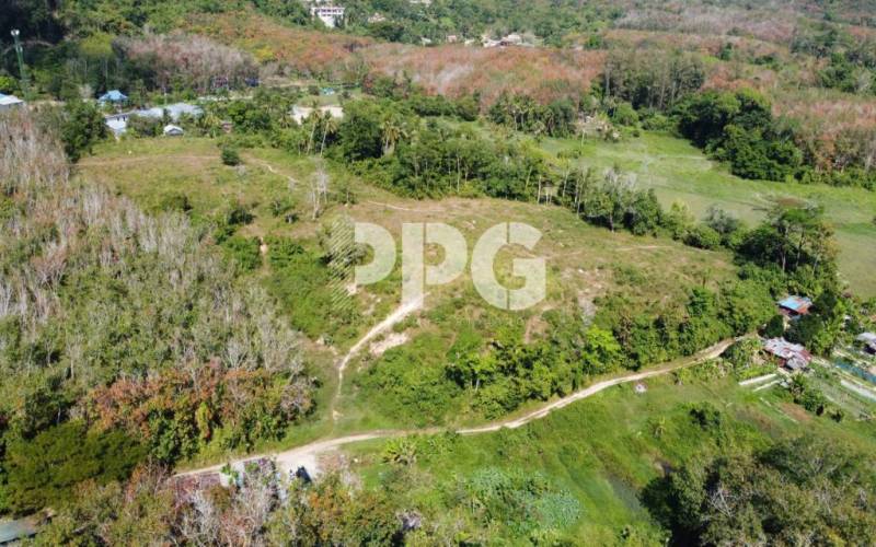 Phuket, ,ที่ดิน,SOLD,2427